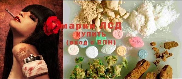 ECSTASY Покачи