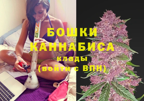 ECSTASY Покачи