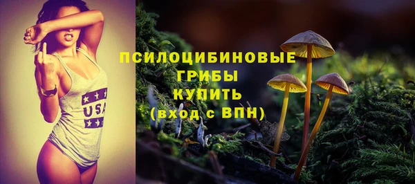 ECSTASY Покров