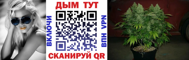 МЕГА вход  Мамадыш  МАРИХУАНА AK-47  как найти наркотики 